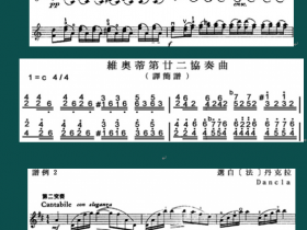 五线谱教程笔记——第一章 乐谱的知识