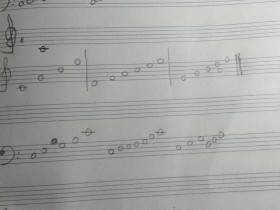 妞妞的识谱问题