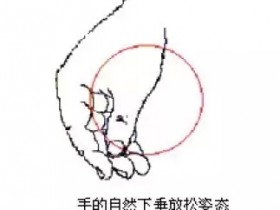 初学钢琴手型需要注意的事项!有图有真相!