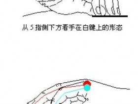 警惕!折指让你弹琴速度的提升“寸步难行”!