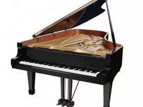 1分钟搞清钢琴尺寸、钢琴的种类