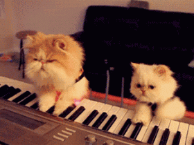 千万别惹弹钢琴的人?