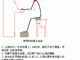 关于弹琴的手型