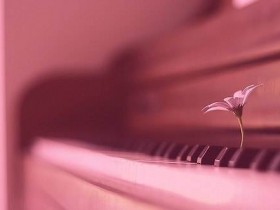 学习钢琴一定要参加考级吗 :我国钢琴考级中存在的弊端(三)