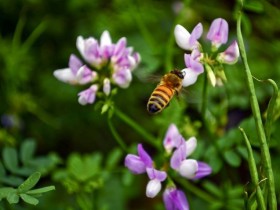 最近在练习的曲目