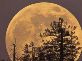 “超级蓝色血月”的夜晚,听那些与月亮有关的钢琴曲