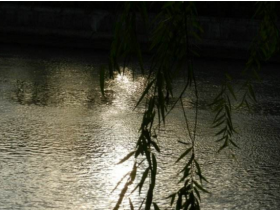 世界钢琴经典名曲100首---拉威尔 死公主的孔雀舞 (017 )