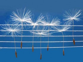 五线谱速读方法(陆佳讲解)