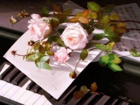 2019音乐森林年度音乐《小奏鸣曲》